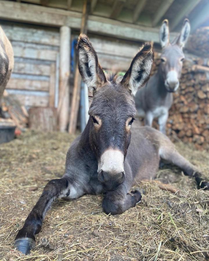 Sweetwater Lane Farm Villa Mount Currie Екстериор снимка