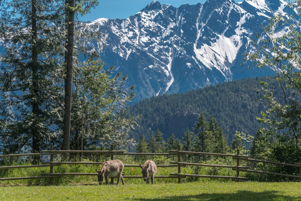 Sweetwater Lane Farm Villa Mount Currie Екстериор снимка