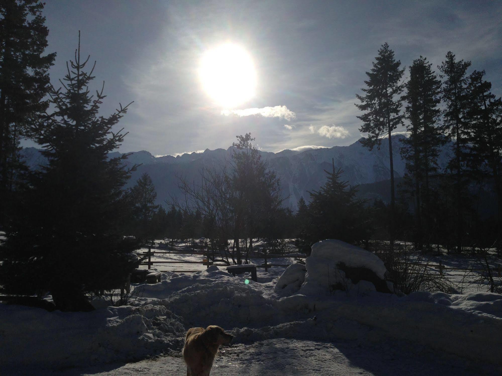 Sweetwater Lane Farm Villa Mount Currie Екстериор снимка