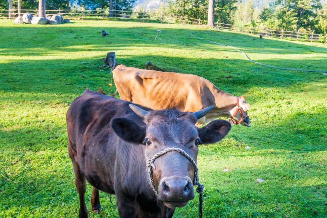 Sweetwater Lane Farm Villa Mount Currie Екстериор снимка